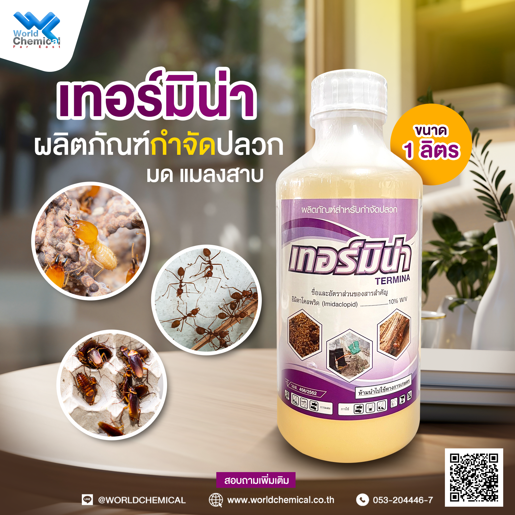% มัดรวมวิธีกำจัดปลวก ให้หายขาดอย่างถาวร