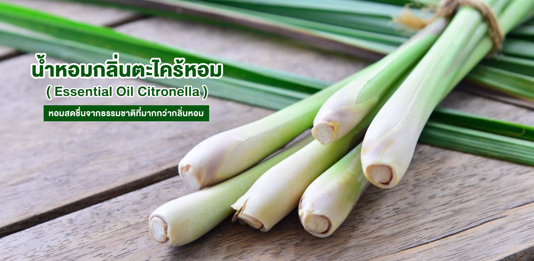 น้ำหอมกลิ่นตะไคร้หอม ( Essential Oil Citronella ) หอมสดชื่นจากธรรมชาติที่มากกว่ากลิ่นหอม
