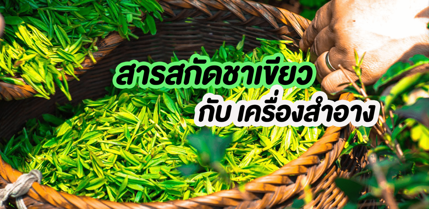 สารสกัดชาเขียว