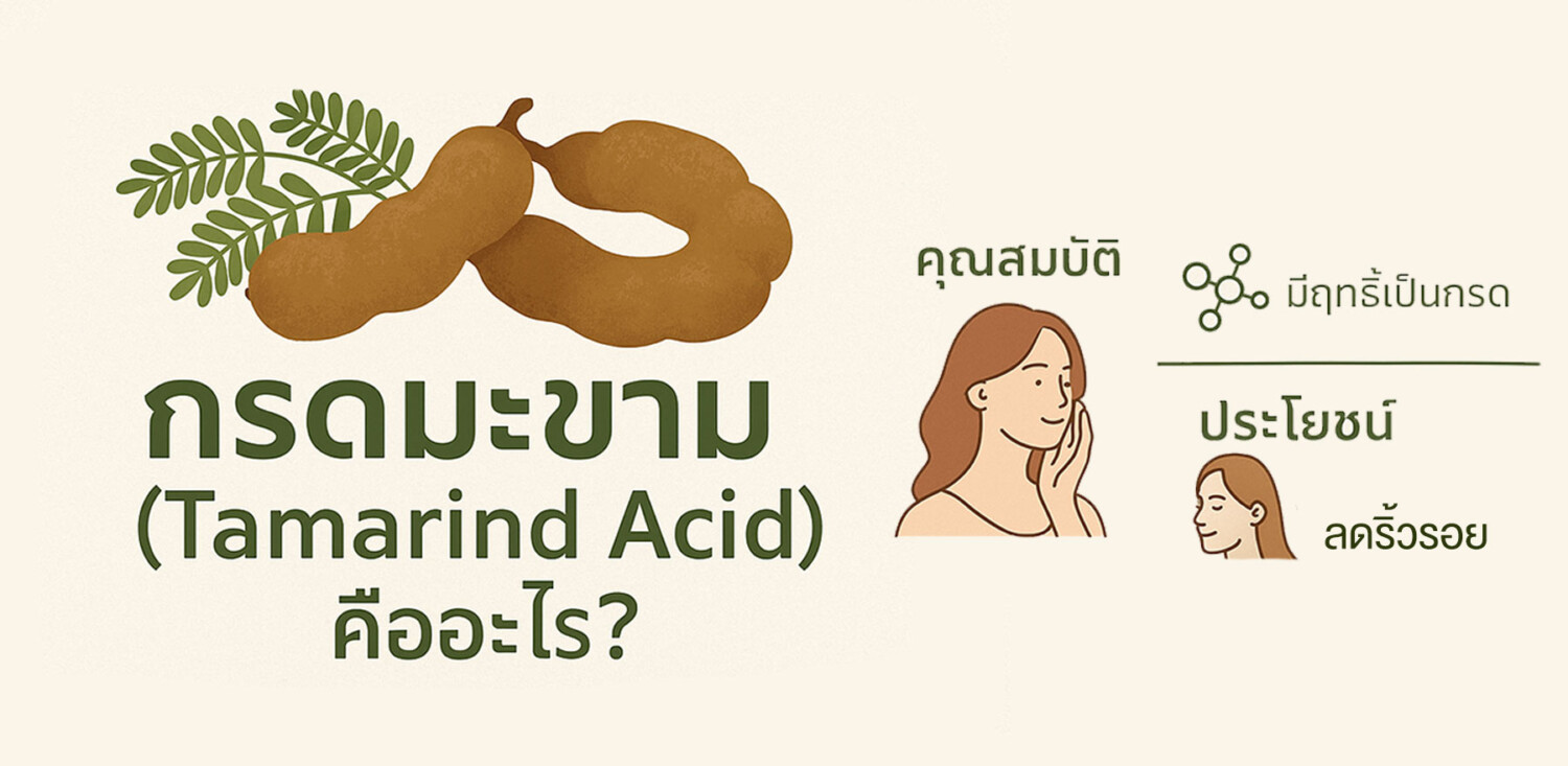 กรดอ๊อกซาลิก คืออะไร? คุณสมบัติและการใช้งานในอุตสาหกรรมต่างๆ