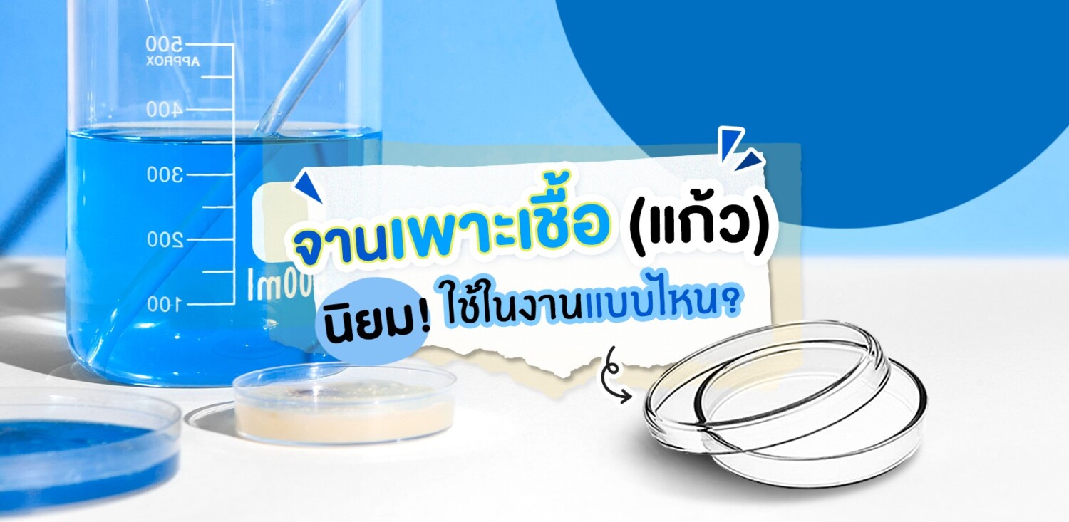 จานเพาะเชื้อ(แก้ว)