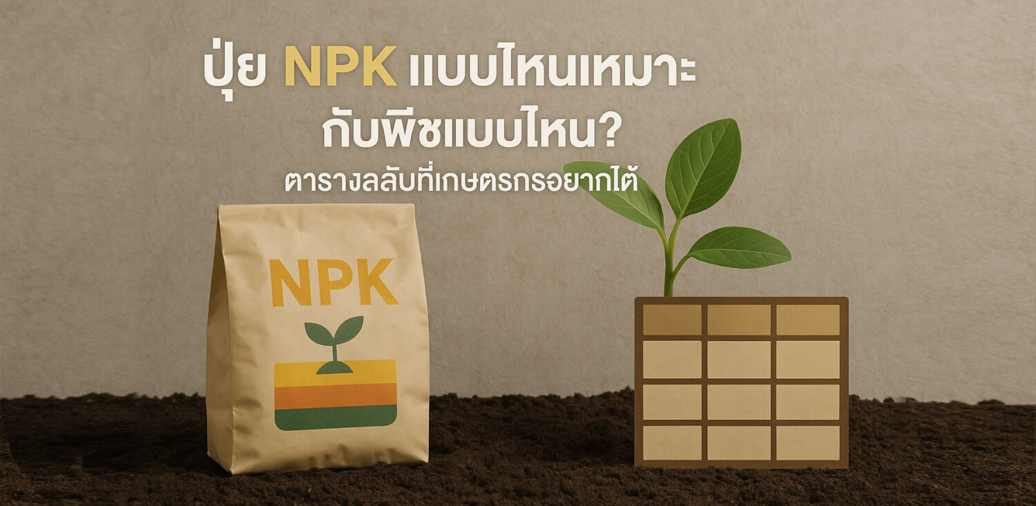ปุ๋ย NPK -แบบไหนเหมาะกับพืชแบบไหน-ตารางลับที่เกษตรกรอยากได้