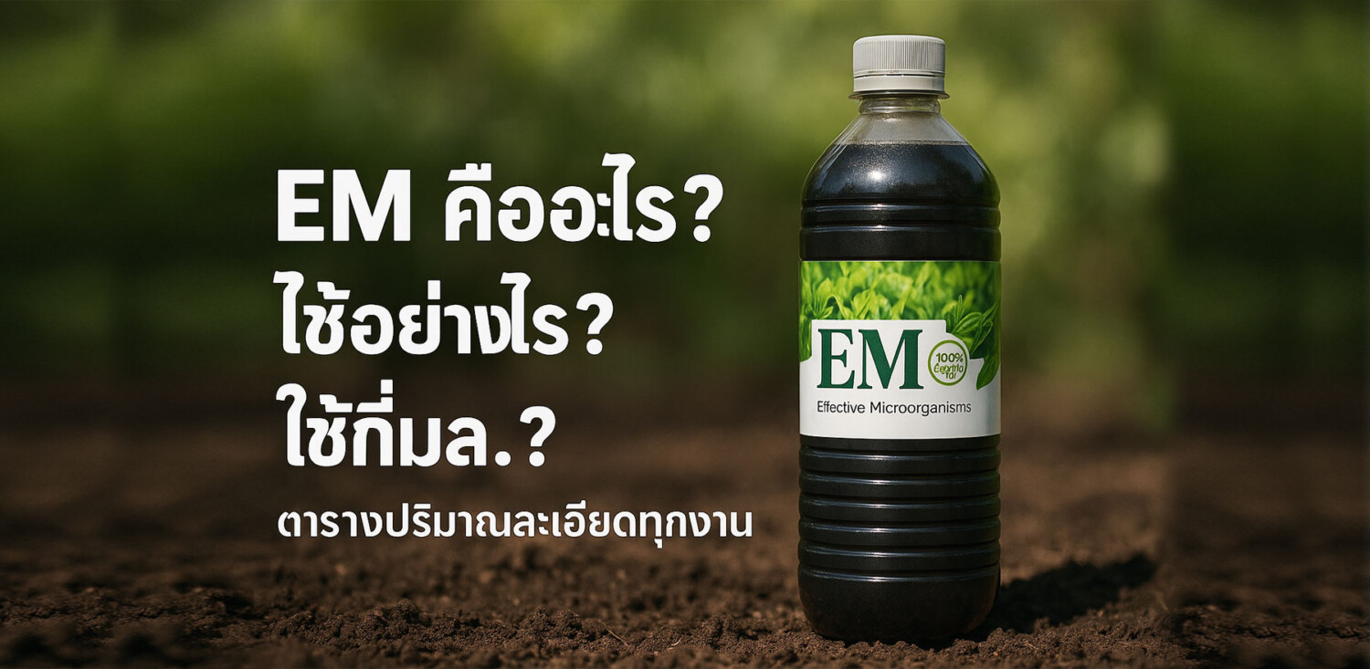 สร้างรูปภาพ แนวนอนหัวข้อ EM คืออะไร? ใช้ยังไง? ใช้กี่มล.? ตารางปริมาณละเอียดทุกงาน