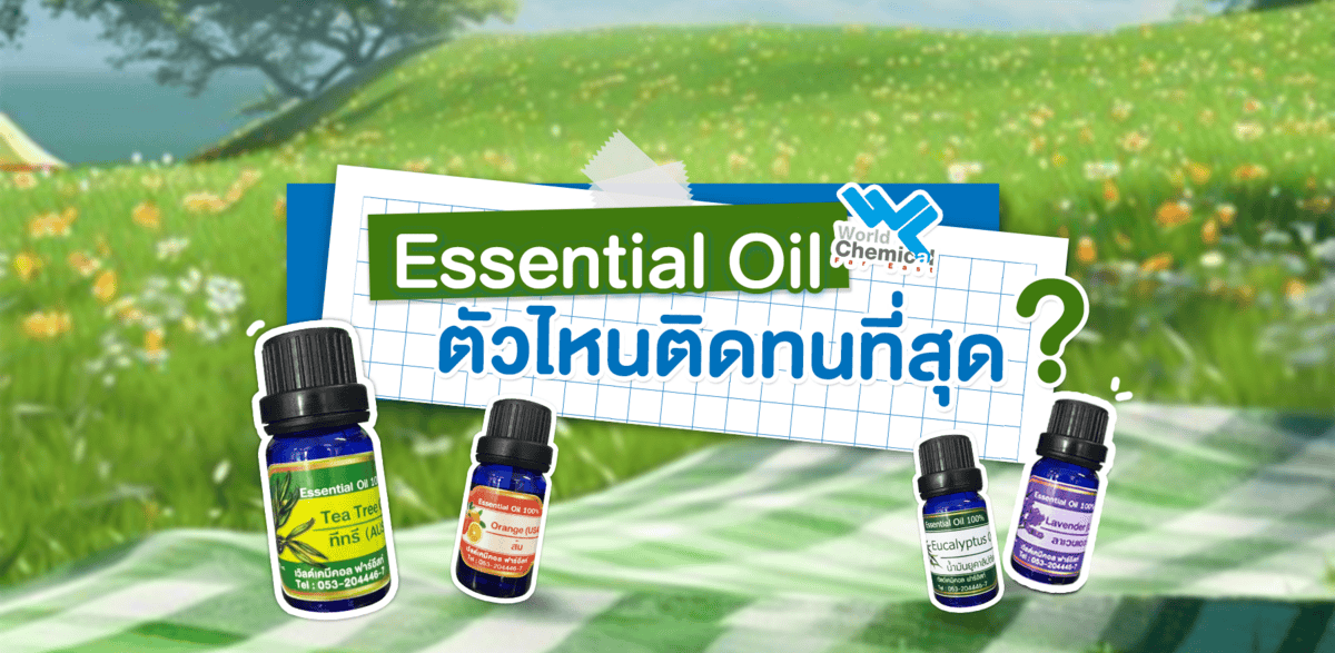 Essential Oil ตัวไหนติดทนที่สุด?