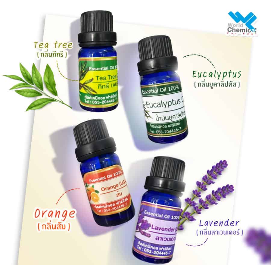 Essential Oil Essential Oil ตัวไหนติดทนที่สุด?
