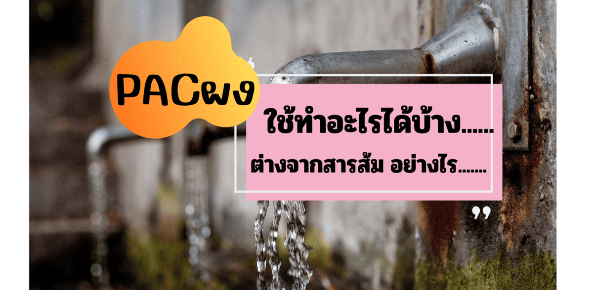 PACผง