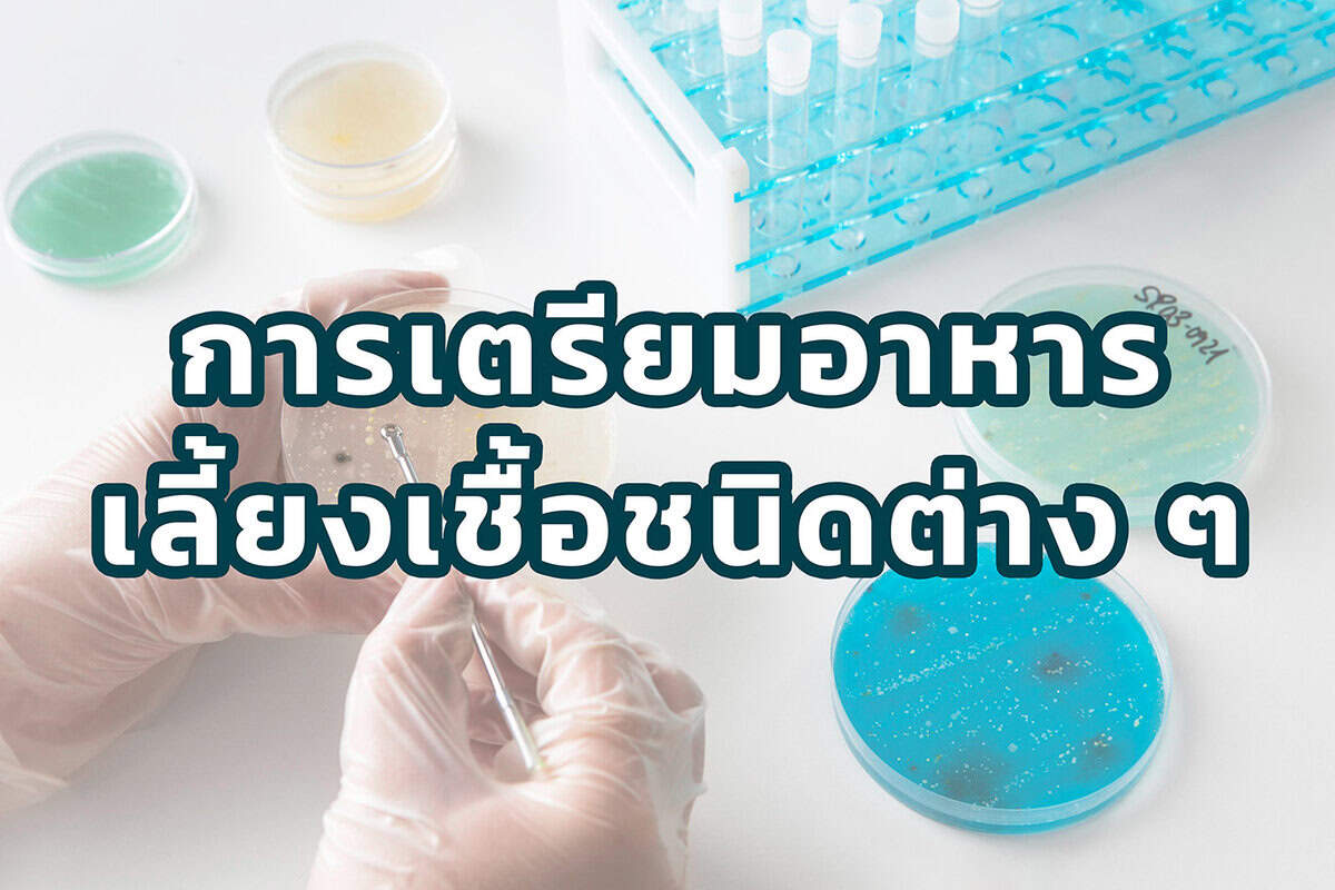 เตรียมอาหารเลี้ยงเชื้อ