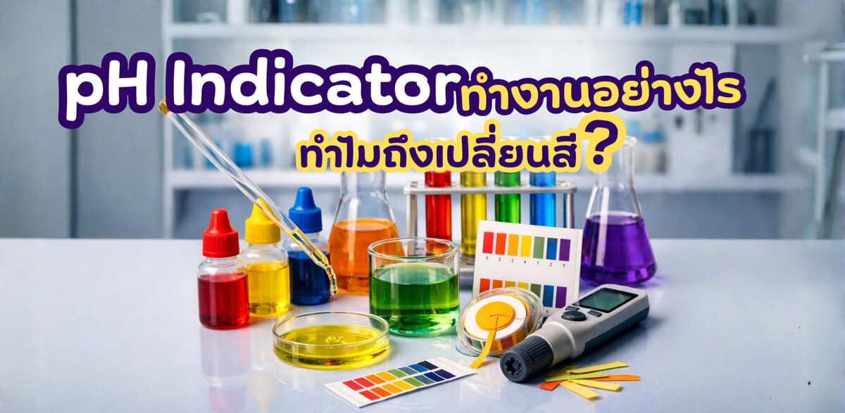 pH Indicator
