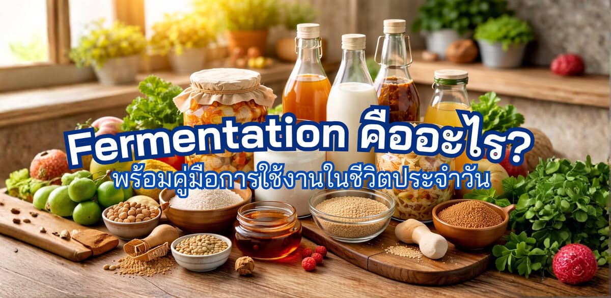 Fermentation คืออะไร? พร้อมคู่มือการใช้งานจริงในชีวิตประจำวัน