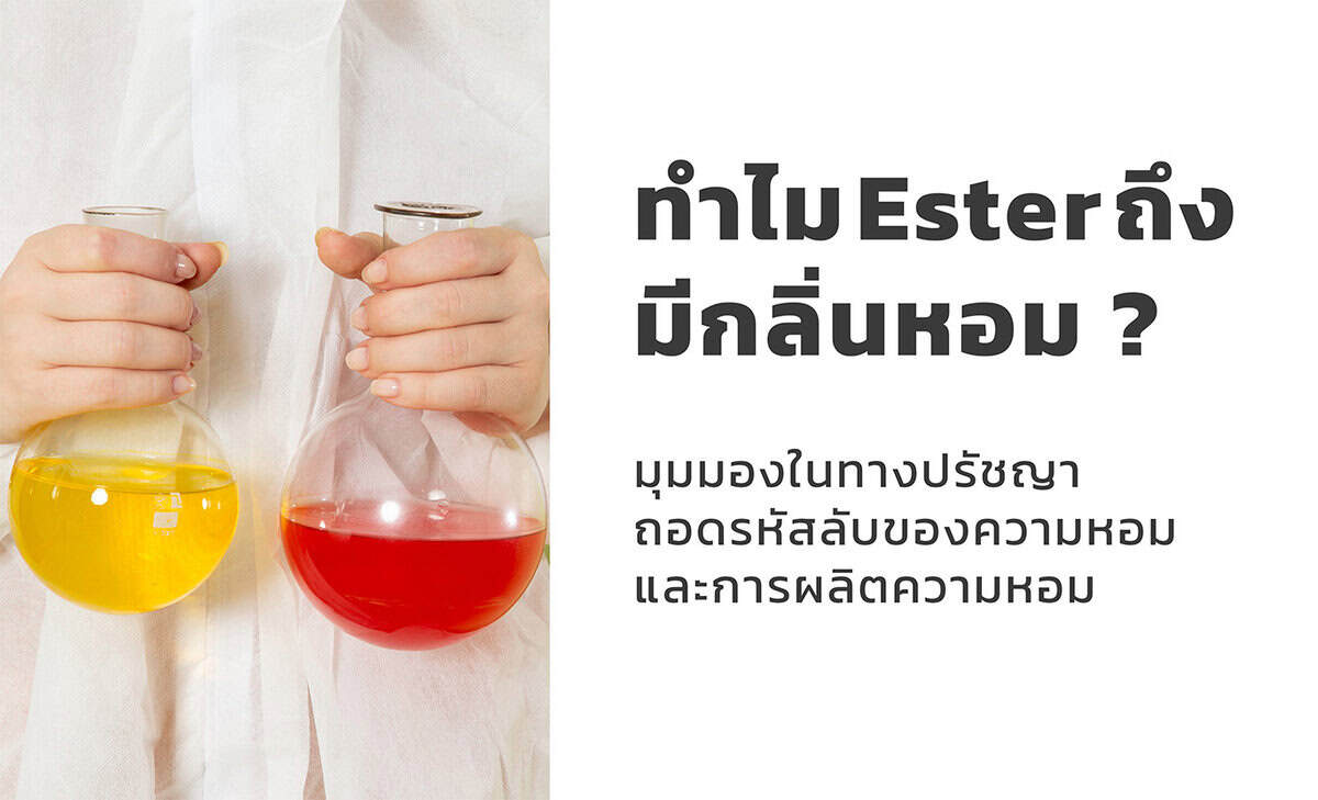 ทำไม Ester ถึงมีกลิ่นหอม