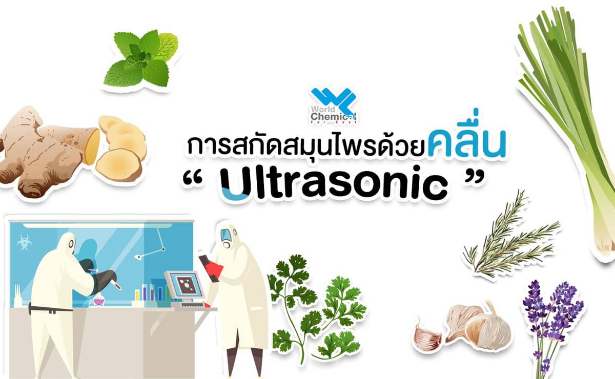 การสกัดสมุนไพรด้วยคลื่น Ultrasonic