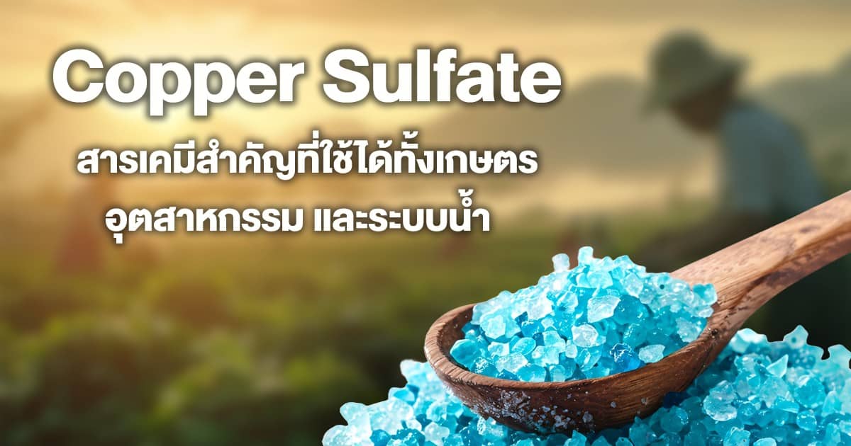 Copper Sulfate