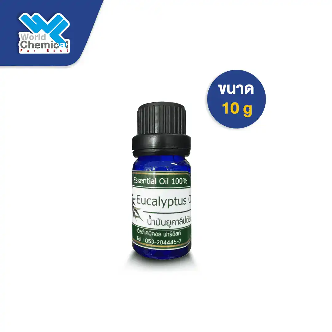 Essential Oil Eucalyptus น้ำหอมกลิ่น ยูคาลิปตัส Essential Oil Eucalyptus น้ำหอมกลิ่น ยูคาลิปตัส