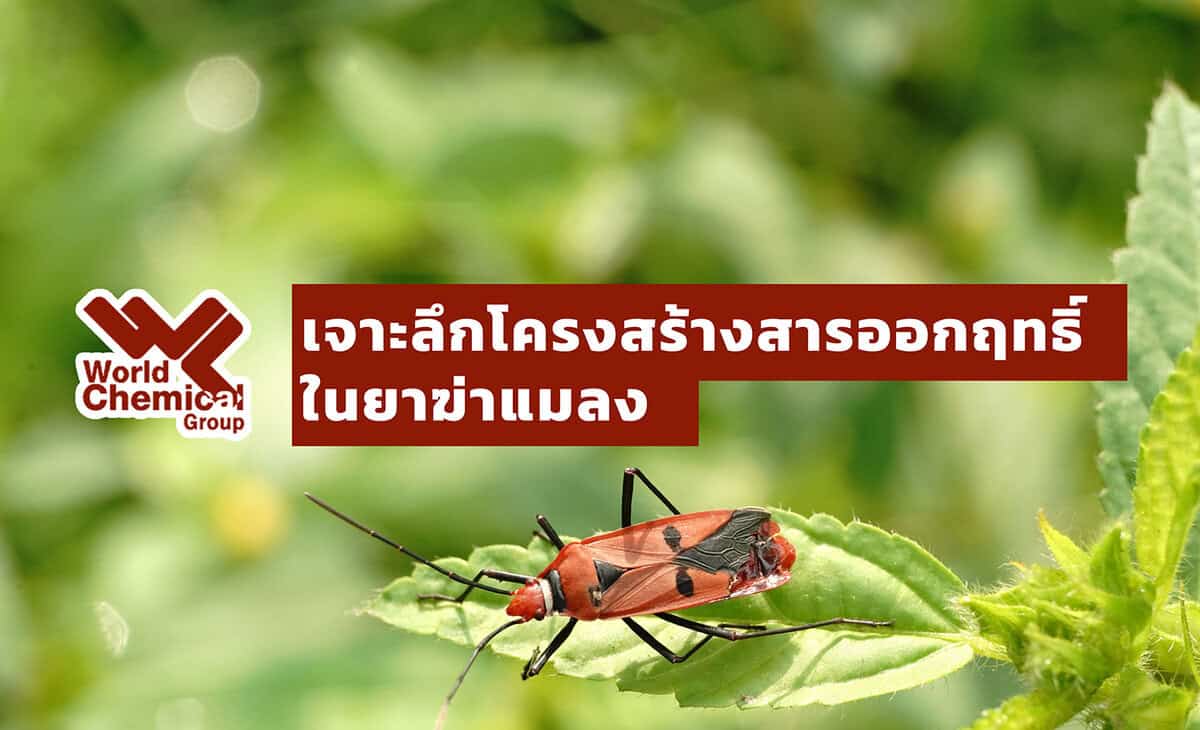 ยาฆ่าแมลง