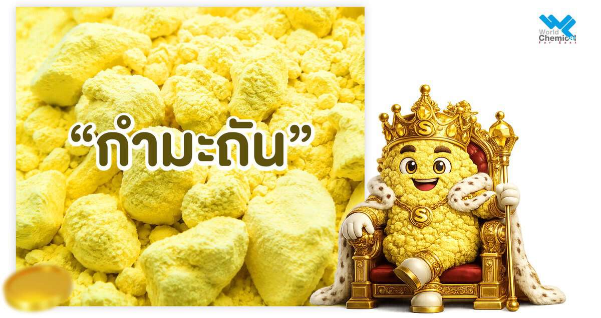ราชาแห่งสารเคมี % ทำไมหลายคนถึงเรียกผมว่า "ราชาแห่งสารเคมี"