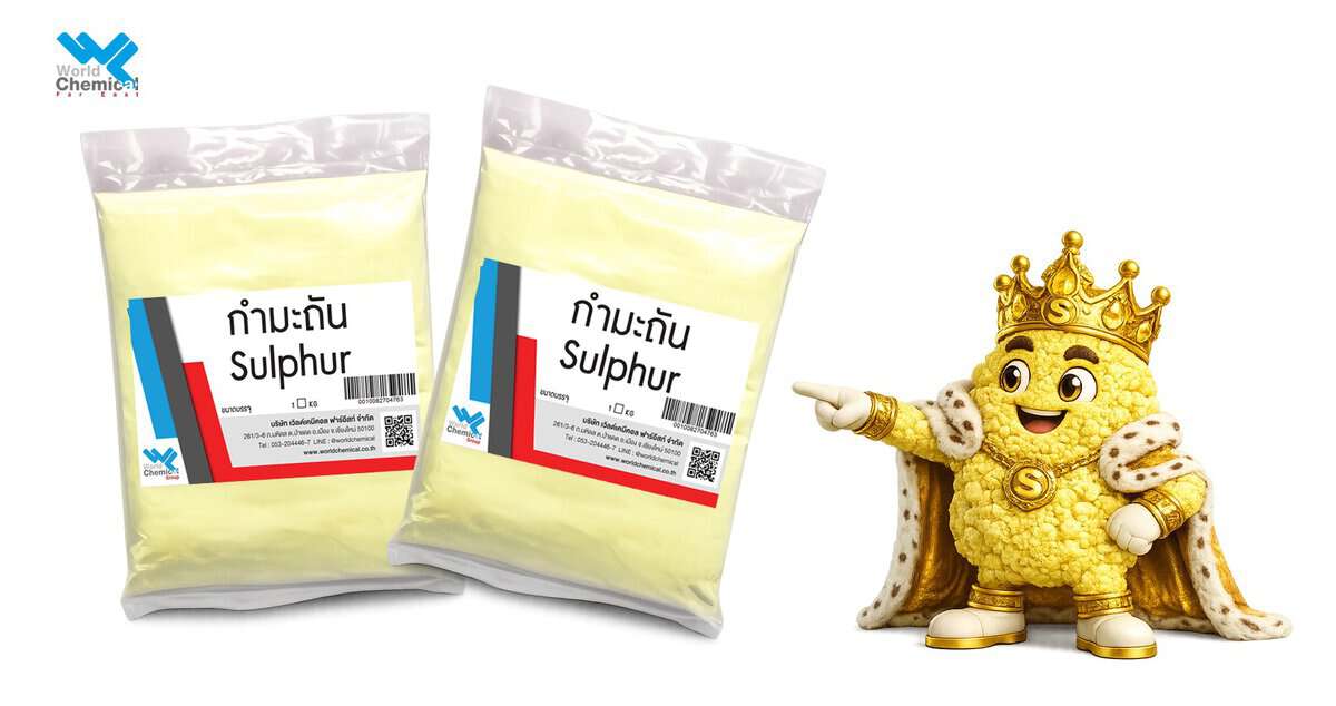 ราชาแห่งสารเคมี % ทำไมหลายคนถึงเรียกผมว่า "ราชาแห่งสารเคมี"