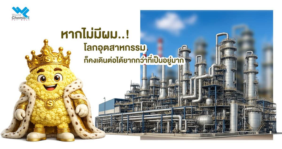 ราชาแห่งสารเคมี % ทำไมหลายคนถึงเรียกผมว่า "ราชาแห่งสารเคมี"