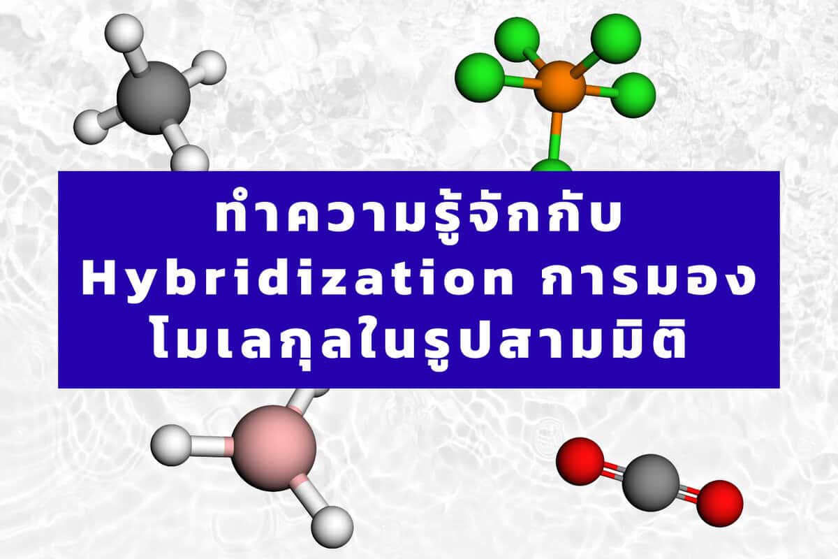 ภาพโมเลกุลแสดงการ Hybridization ในรูปสามมิติ.