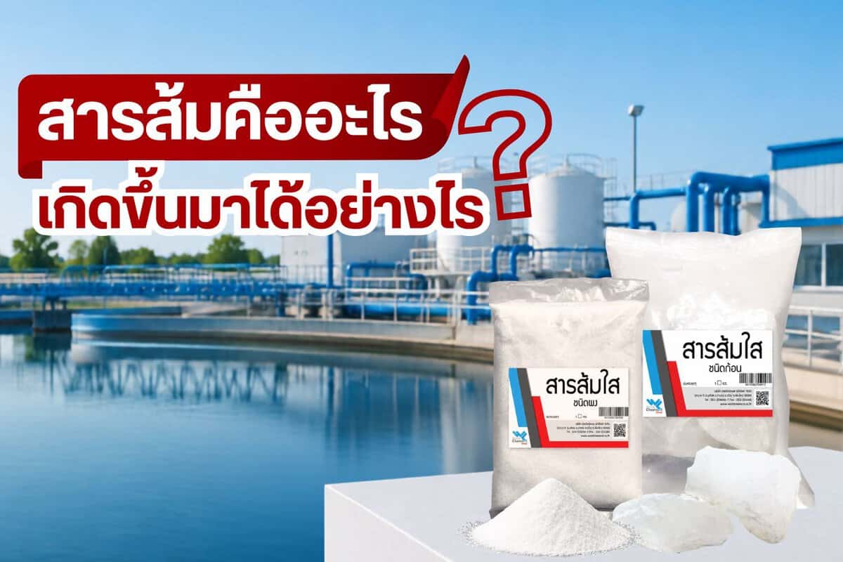 สารส้มในโรงงานอุตสาหกรรมและการใช้งาน.