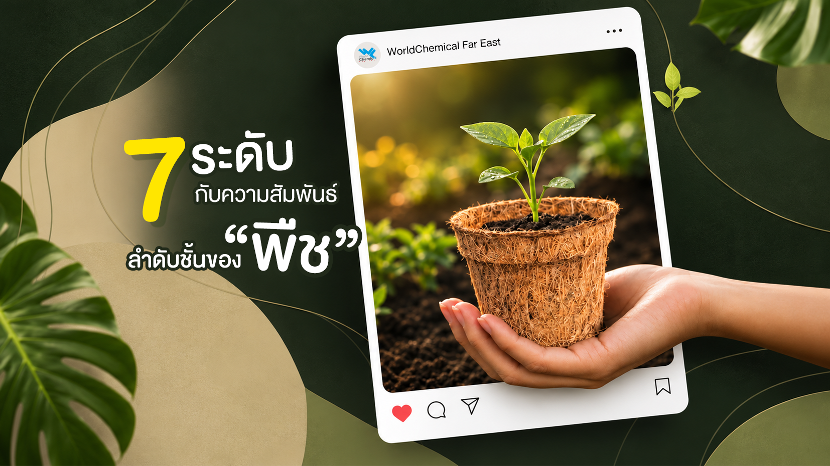 7ระดับกับความสัมพันธ์ลำดับชั้นของพืช