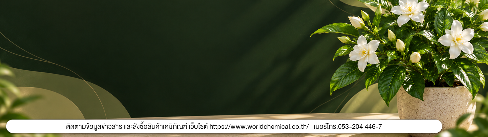 7ระดับกับความสัมพันธ์ลำดับชั้นของพืช % 7ระดับกับความสัมพันธ์ลำดับชั้นของพืช