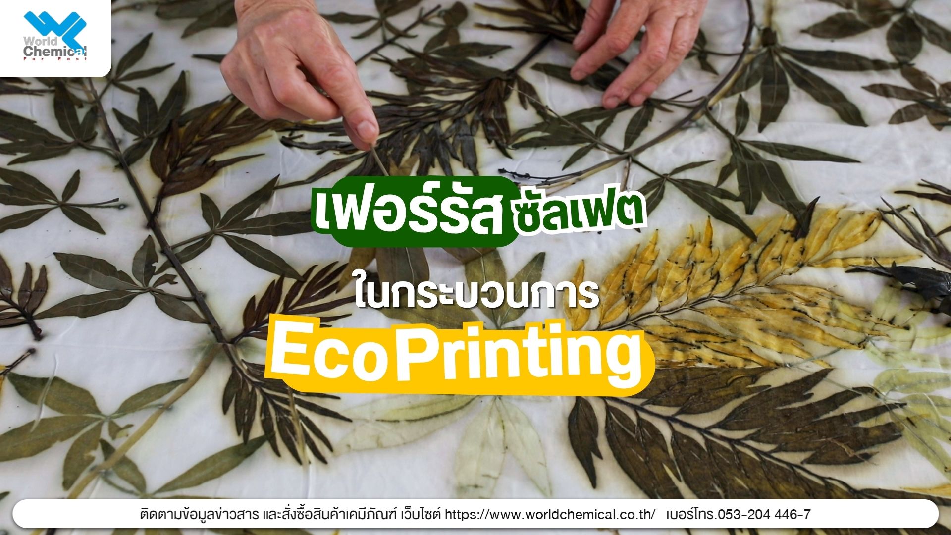 % เฟอร์รัสซัลเฟต (Ferrous Sulfate) ในกระบวนการทำ Eco Printing