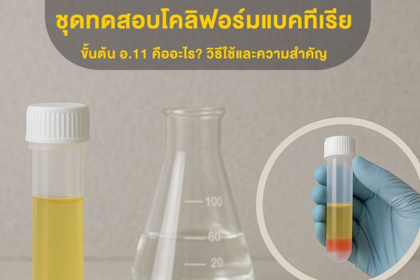 ขั้นต้น อ.11 คืออะไร วิธีใช้และความสำคัญ