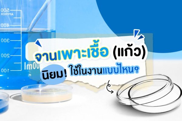 จานเพาะเชื้อ(แก้ว)