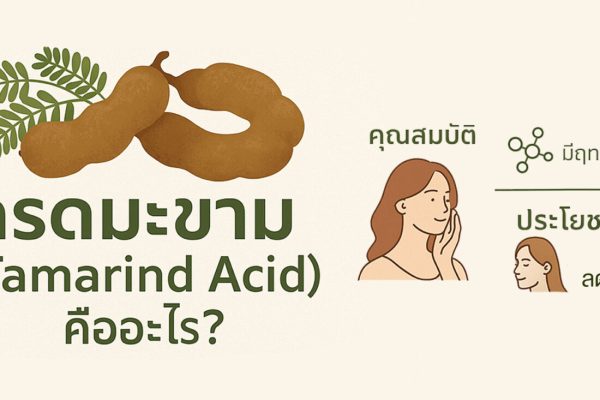 กรดอ๊อกซาลิก คืออะไร? คุณสมบัติและการใช้งานในอุตสาหกรรมต่างๆ