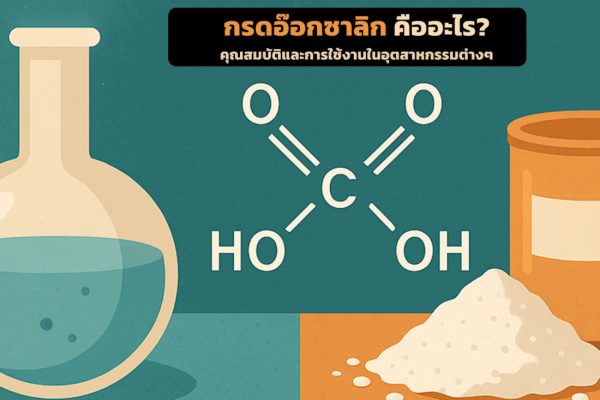 กรดอ๊อกซาลิก คืออะไร? คุณสมบัติและการใช้งานในอุตสาหกรรมต่างๆ