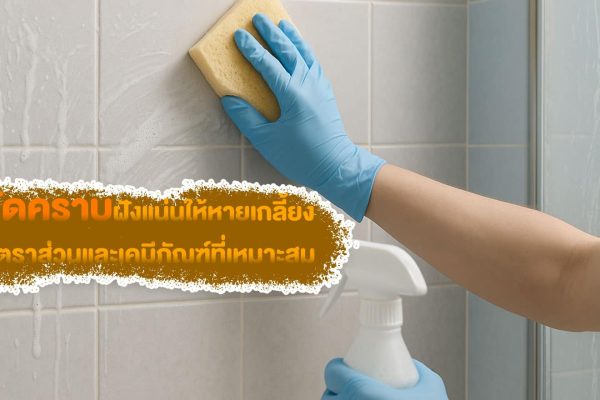 ทำความสะอาดคราบสบู่ในห้องน้ำ แบบผู้เชี่ยวชาญ