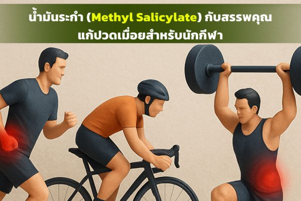น้ำมันระกำ (Methyl Salicylate) กับสรรพคุณแก้ปวดเมื่อยสำหรับนักกีฬา