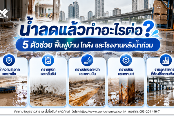 5 ตัวช่วยทำความสะอาดและฟื้นฟูบ้าน โกดัง และโรงงานหลังน้ำท่วม สำหรับคราบหนัก กลิ่นอับ คราบสนิม และงานฆ่าเชื้อ