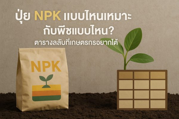 ปุ๋ย NPK -แบบไหนเหมาะกับพืชแบบไหน-ตารางลับที่เกษตรกรอยากได้