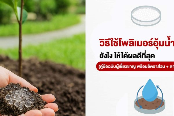 วิธีใช้โพลิเมอร์อุ้มน้ำในสวน