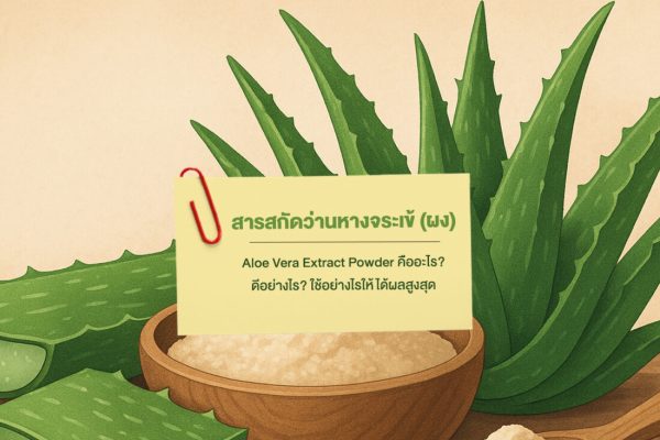 สารสกัดว่านหางจระเข้