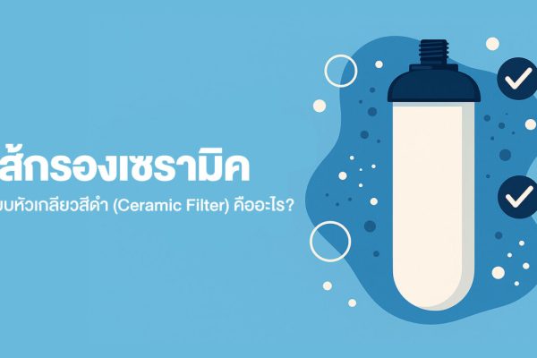 ไส้กรองเซรามิคแบบหัวเกลียวสีดำ